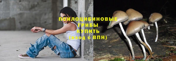 СК Богданович