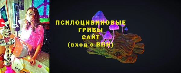 СК Богданович