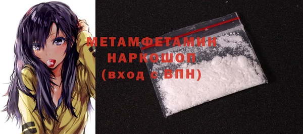 шишки Бикин