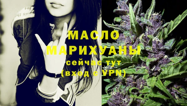 крисы Бородино