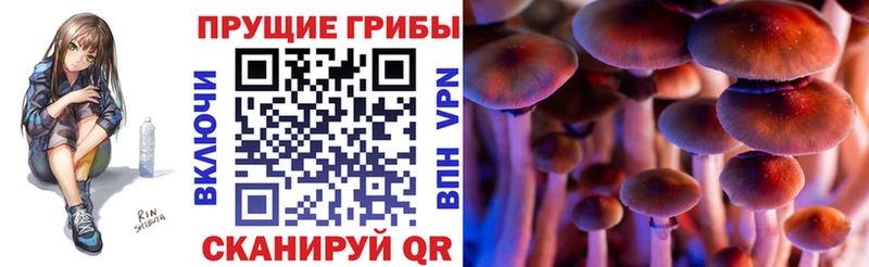 Галлюциногенные грибы мицелий  закладка  Бугульма 