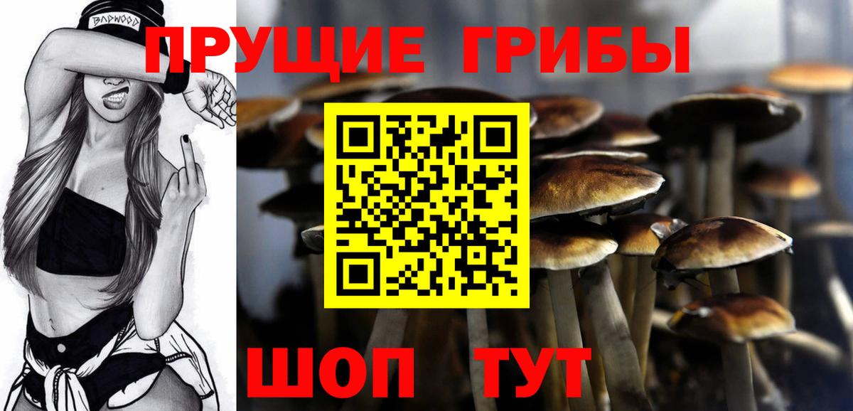 Бугульма  Галлюциногенные грибы Magic Shrooms  закладка  Вход с VPN 