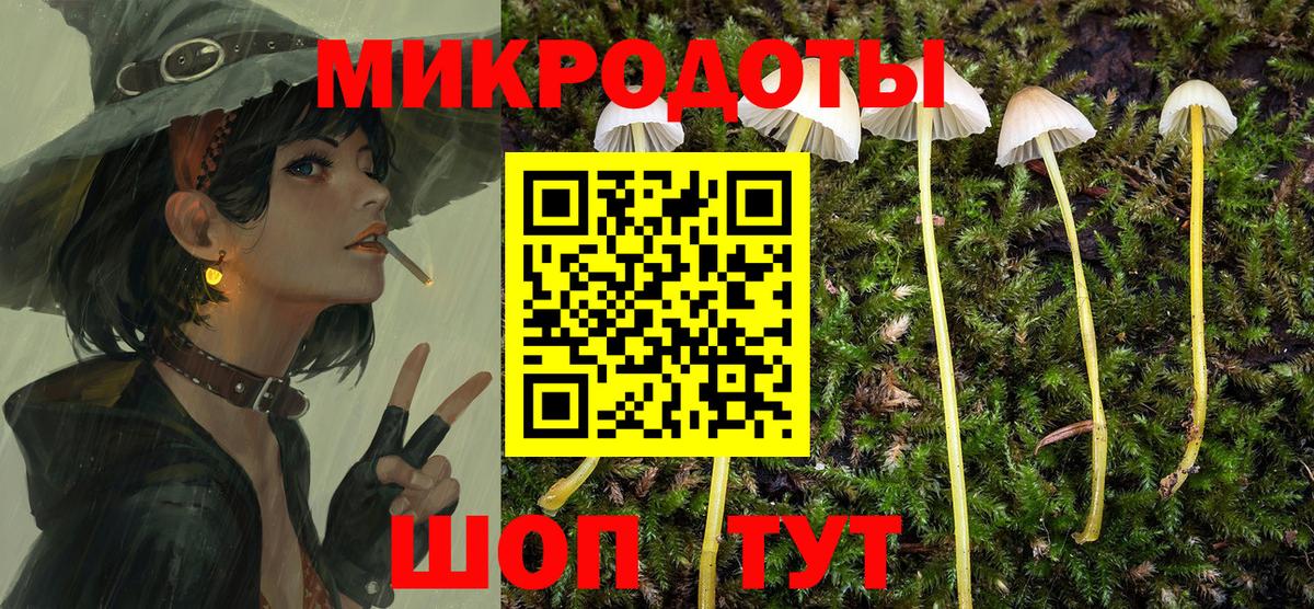 Галлюциногенные грибы мицелий Бугульма